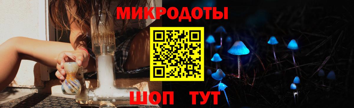 Галлюциногенные грибы Psilocybe Можга